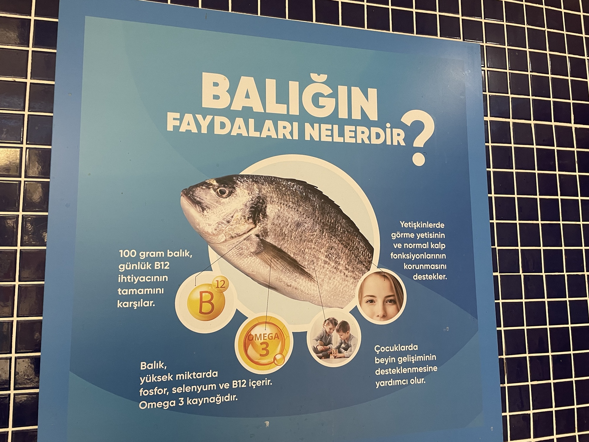 Fisherselim